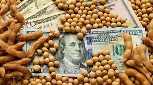 Dólar Soja 2022: El Agro liquidó 40 mil millones de dólares por primera vez