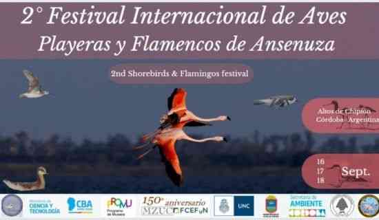 Se realiza en Altos de Chipión 2º Festival de Aves Playeras y Flamencos de Ansenuza