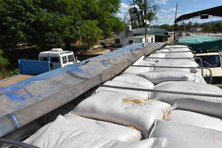 Gendarmería descubrió transporte de 90 mil kg. de soja con documentación inconsistente