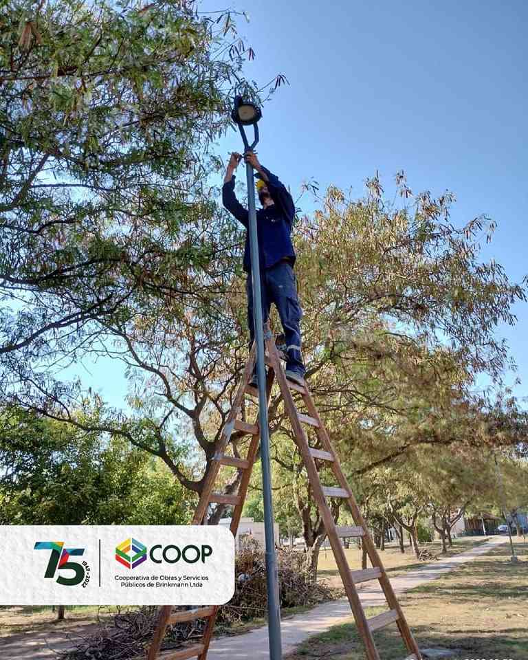 Personal de Cooperativa comenzó con la colocación de luminarias en Parque Central