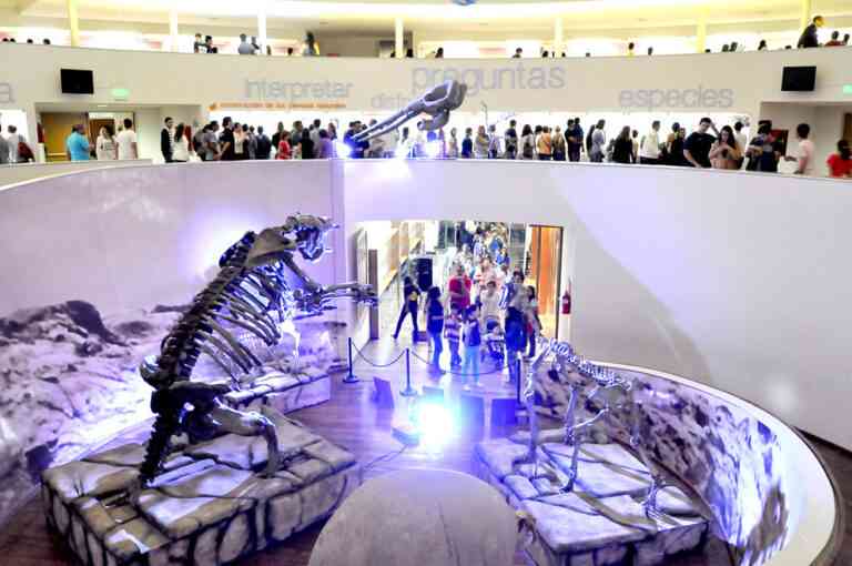 Los Museos también ofrecen propuestas para descubrir la Cultura de Córdoba