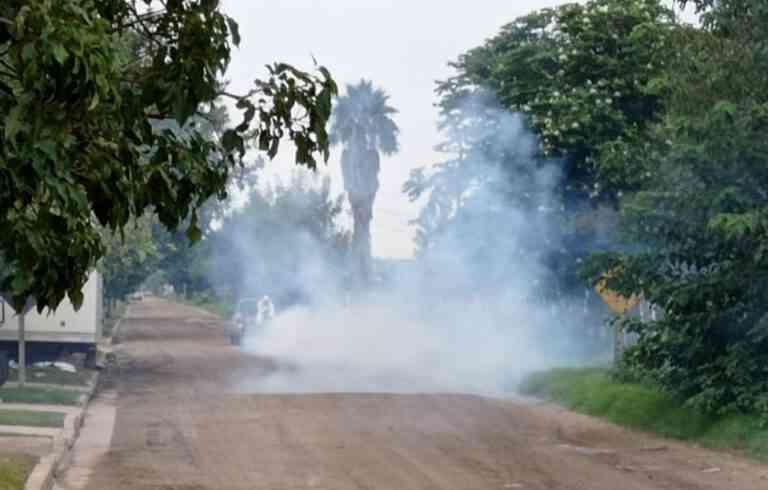 Técnicos de Córdoba realizan fumigaciones en Morteros. Hay 15 casos en total