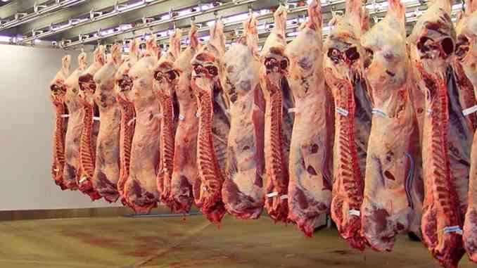Carne vacuna a China, no logra revertir tendencia de precios a la baja