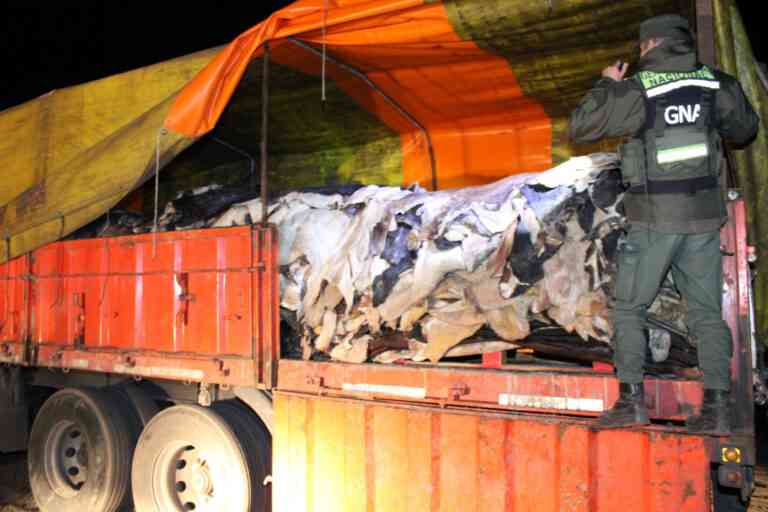 Gendarmería: Retuvieron camión que transportaba pieles y cueros