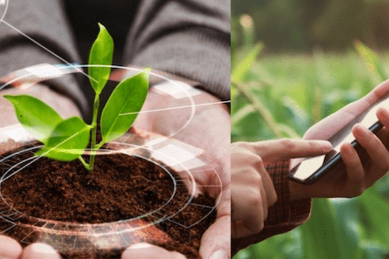 Tecnología Agropecuaria: Misión conjunta de Región Centro a Israel