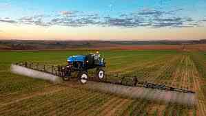 Bolsa de Cereales de Buenos Aires: Lluvias mejoran los cultivos