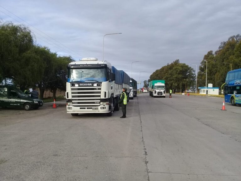 Córdoba: Dos camiones transportaban 65 toneladas de granos de soja y maíz en infracción