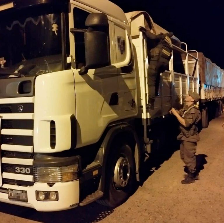 Gendarmería: Secuestran 170 toneladas de maíz y soja en varios operativos