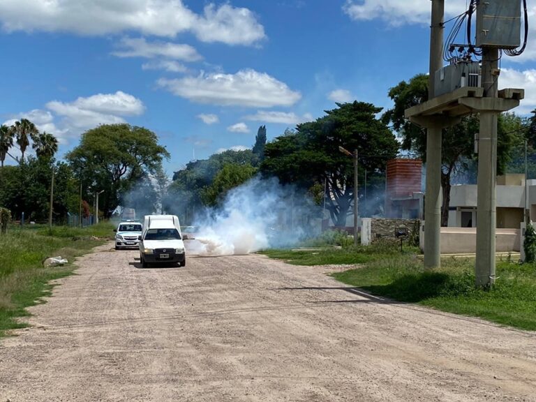 Dengue: Realizaron fumigación en calles periféricas, espacios verdes y corte de césped