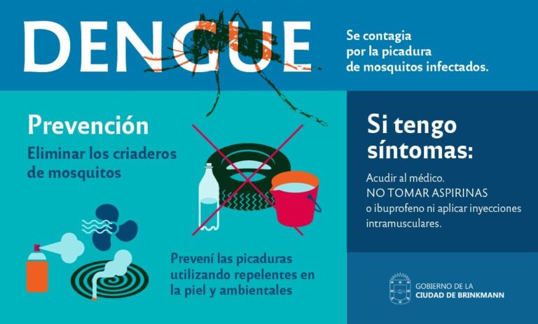 Dengue: Recomendaciones para evitar la propagación